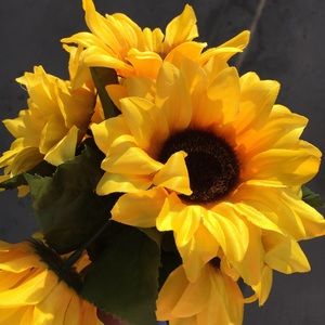 Meet your Posher, Myracle